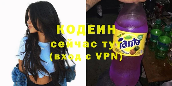 apvp Инта