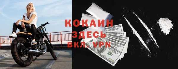 apvp Инта