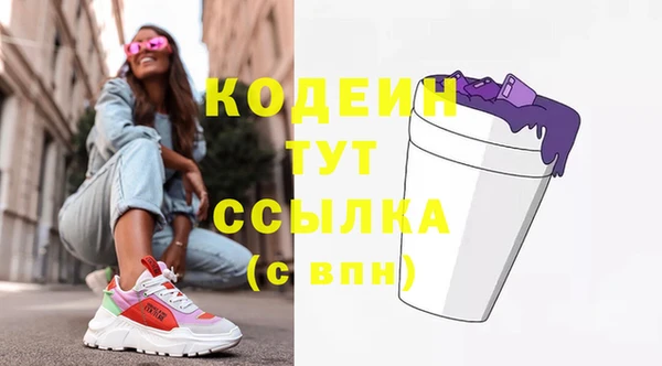 apvp Инта