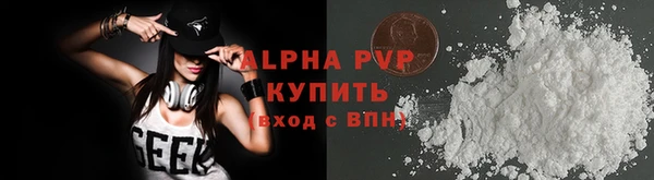 apvp Инта