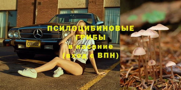 apvp Инта