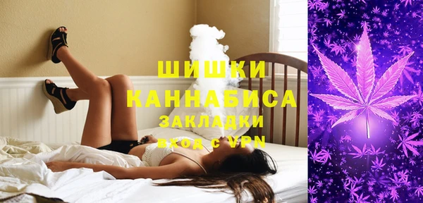 apvp Инта
