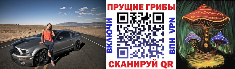 Купить где Гдов Галлюциногенные грибы мухоморы
